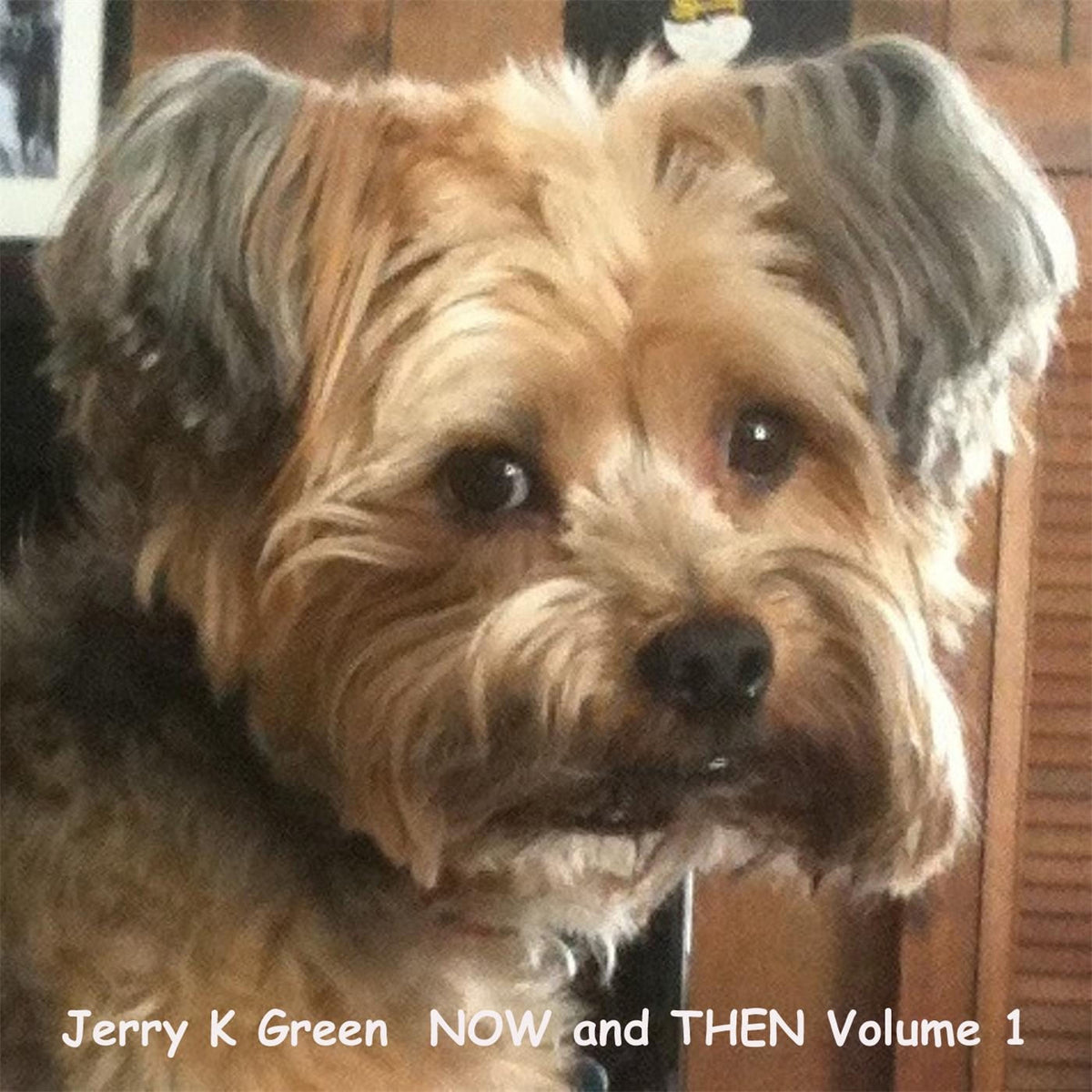 Various Artists – Now And Then vinyl record cover