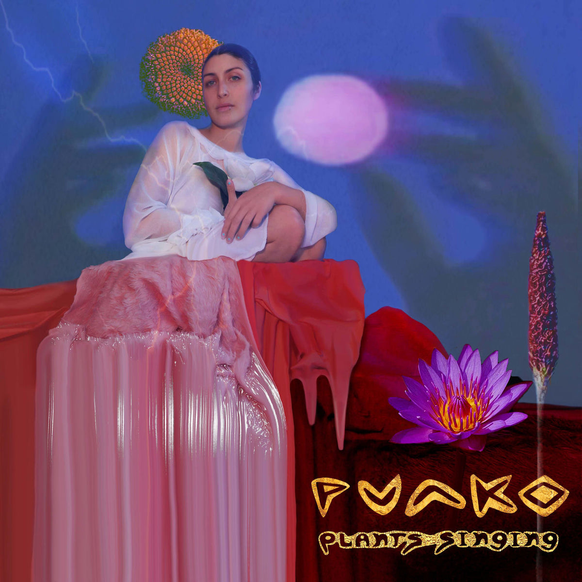 Punko – Plants Singing vinyl cover