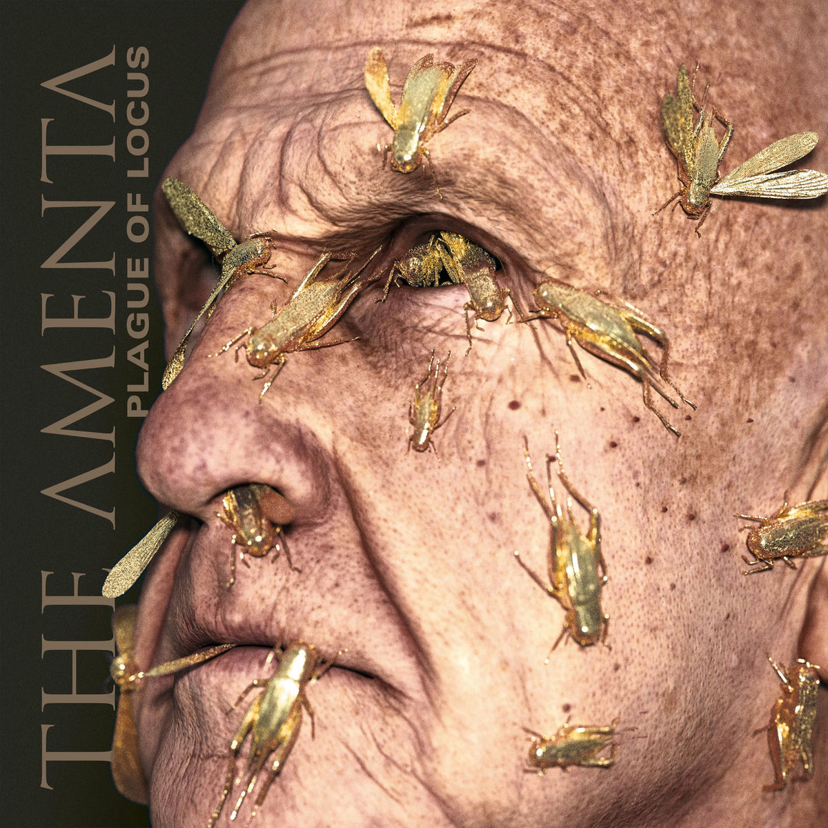 The Amenta – Plague of Locus vinyl cover