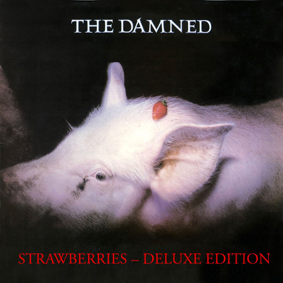 The Damned – Strawberries (Deluxe Edition) vinyl cover