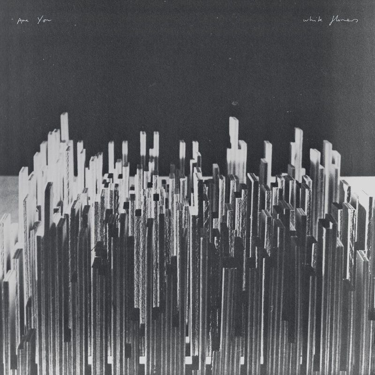 White Flowers – Are You vinyl cover