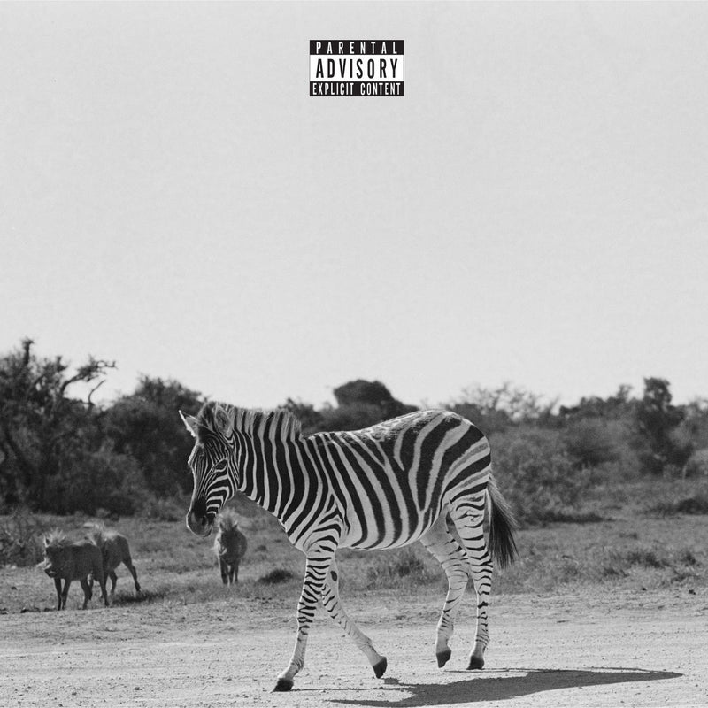 Louis VI – Earthling vinyl record cover