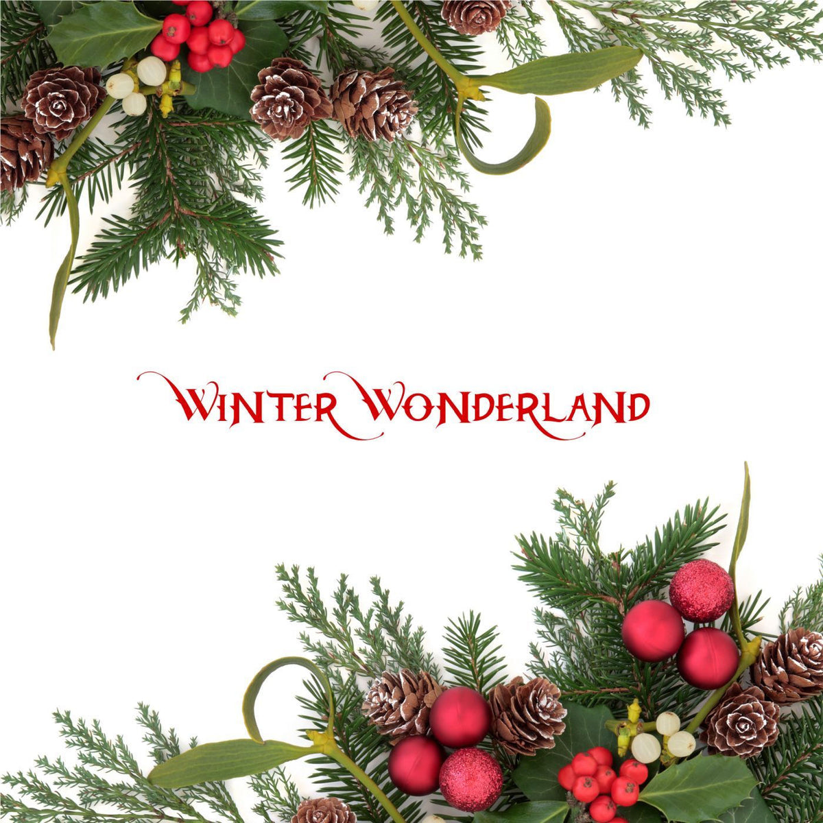 Various Artists – Winter Wonderland (2LP) vinyl record cover