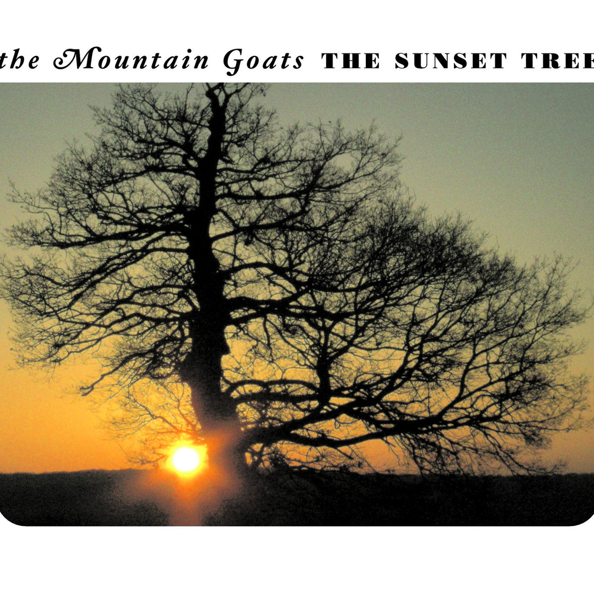 The Mountain Goats – The Sunset Tree vinyl cover