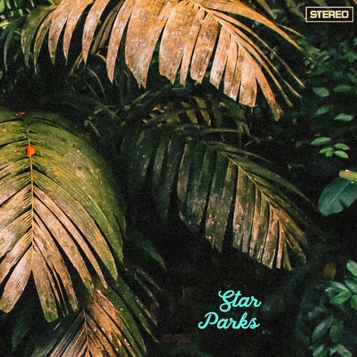 Star Parks – New Sounds Of Late,The vinyl record cover