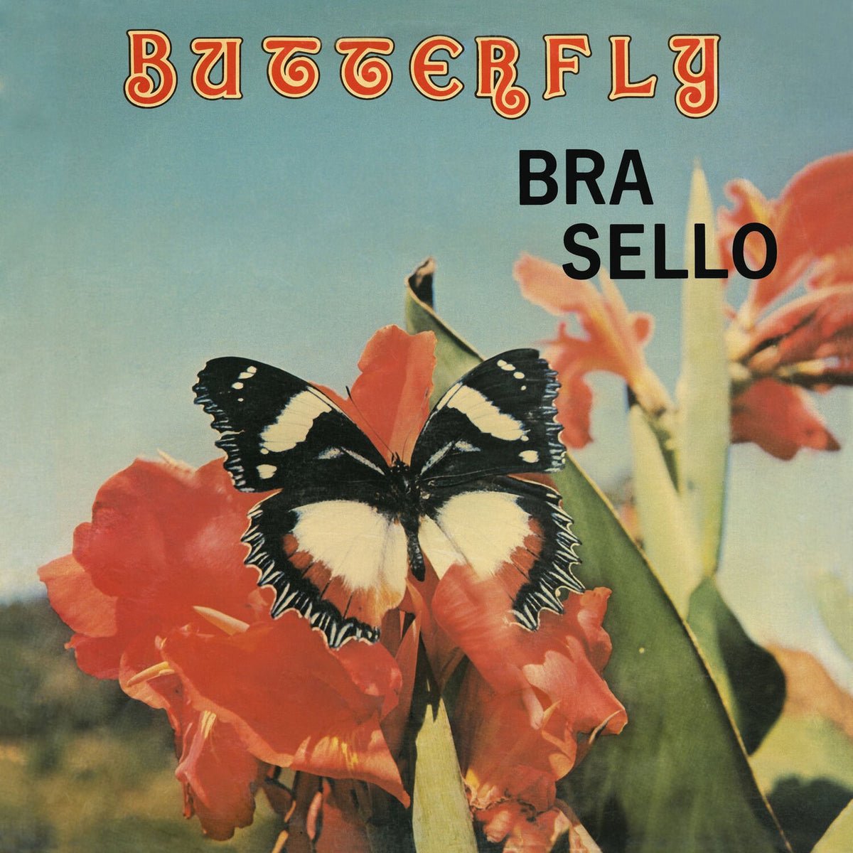 Bra Sello – Butterfly vinyl record cover