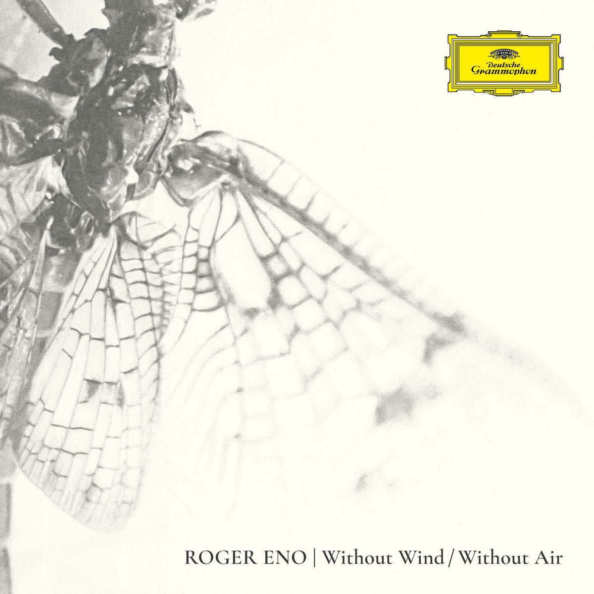 Roger Eno – Without Wind, Without Air vinyl cover