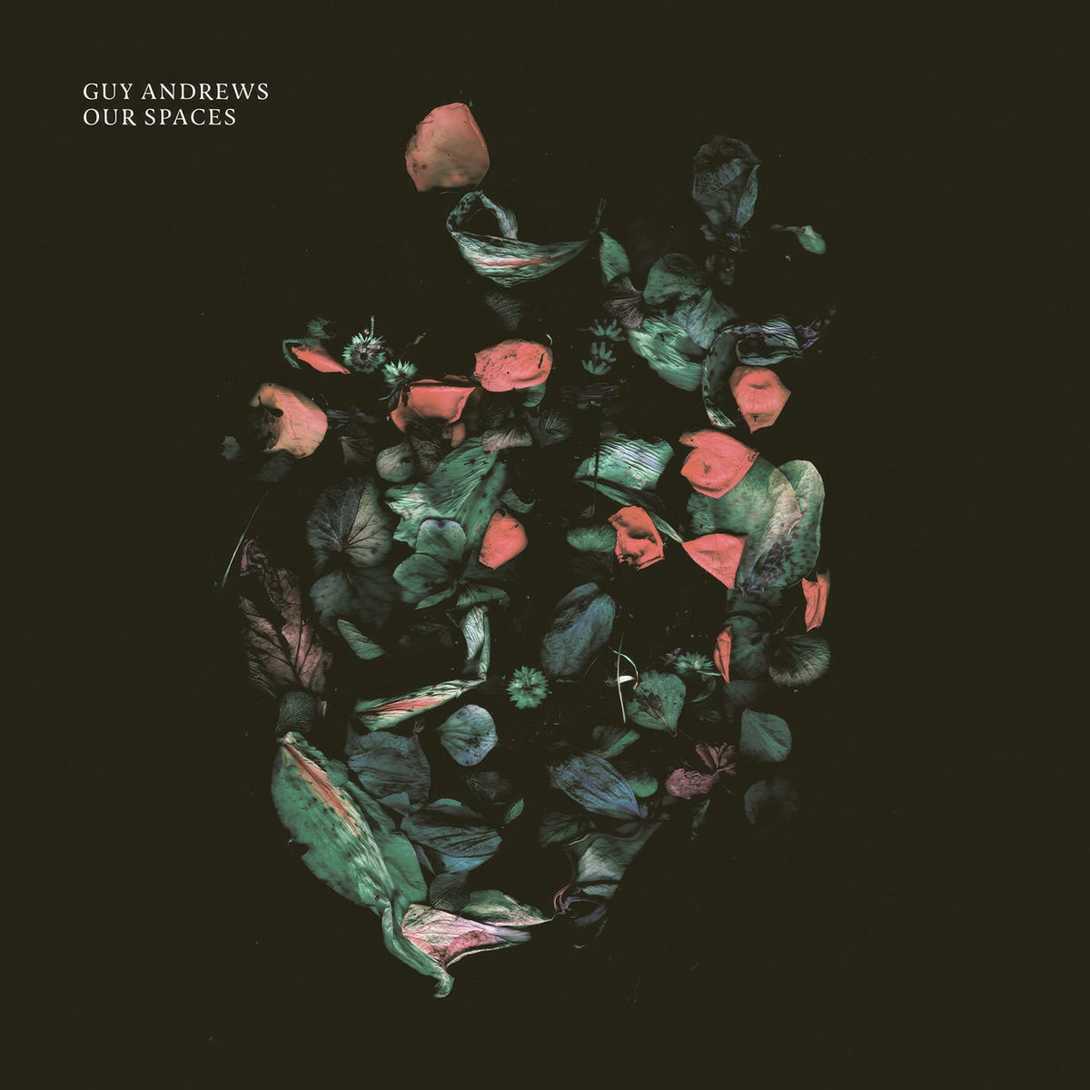 Guy Andrews – Our Spaces vinyl record cover