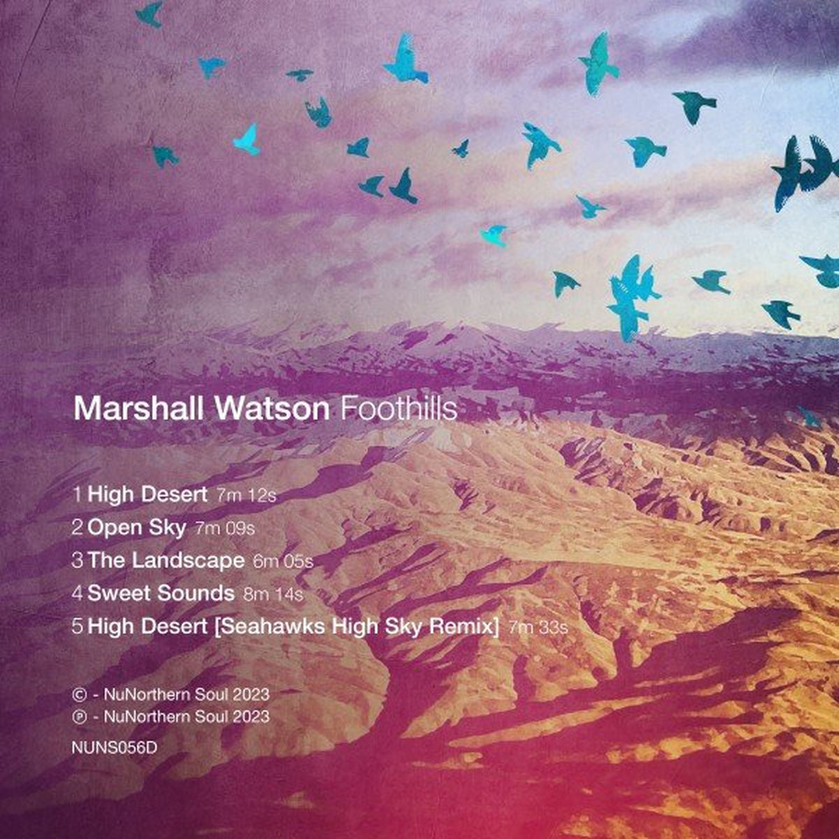 Marshall Watson – Foothills EP vinyl cover