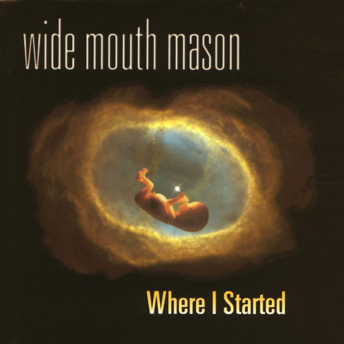 Wide Mouth Mason – Where I Started [LP] vinyl record cover