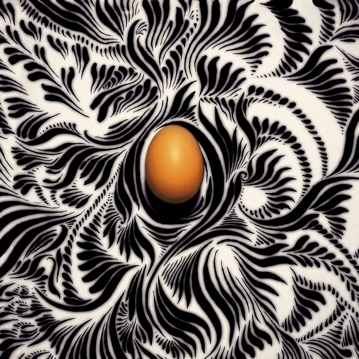 Celebration – Albumin vinyl record cover