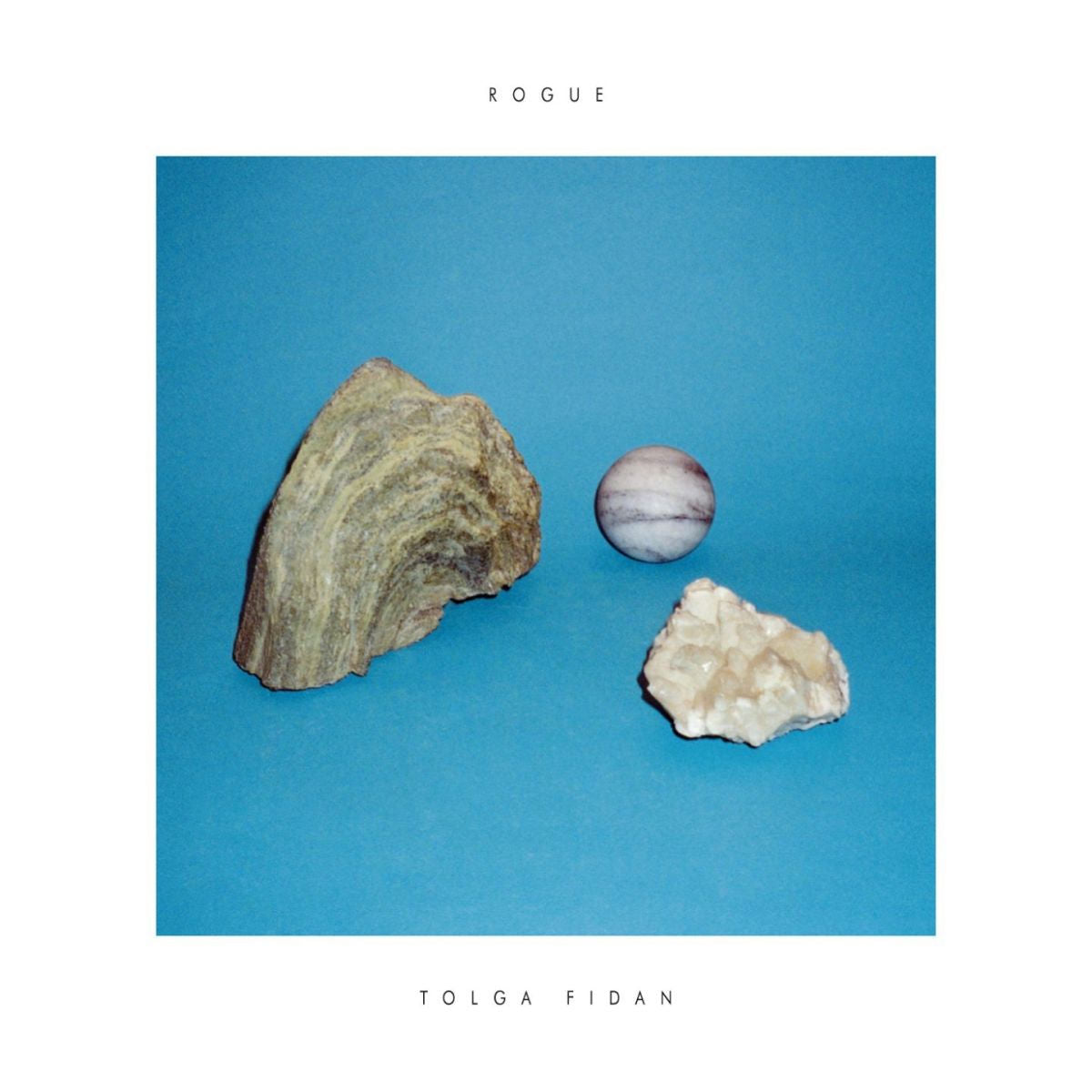 Tolga Fidan – Rogue vinyl cover