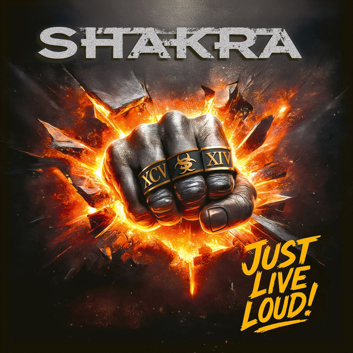 Shakra – Just Live Loud! vinyl record cover