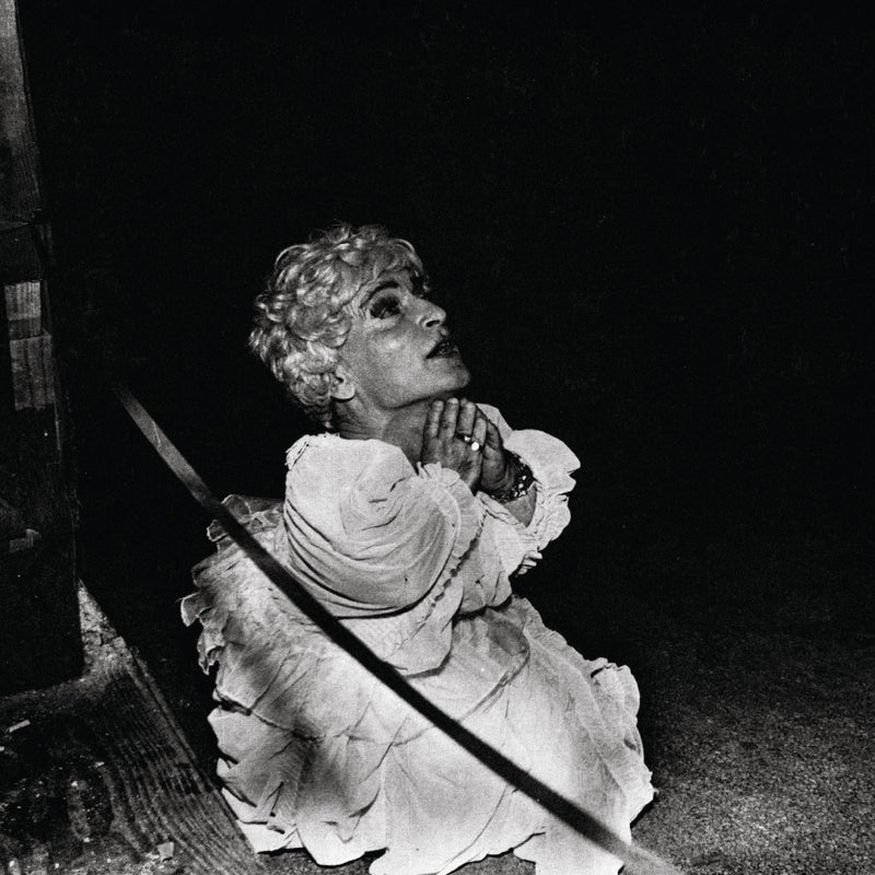 Deerhunter – Halcyon Digest vinyl record cover