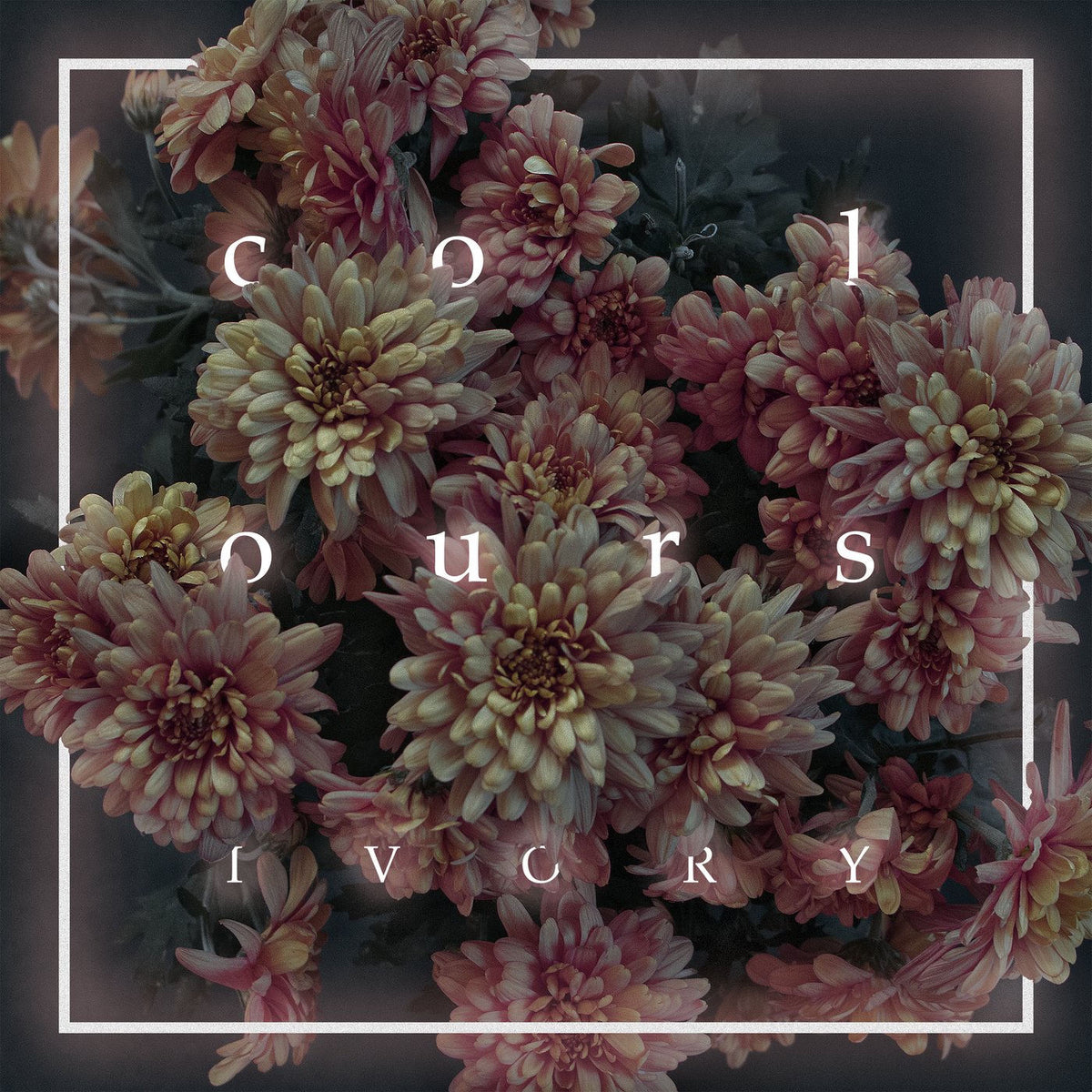 Colours – Ivory vinyl cover