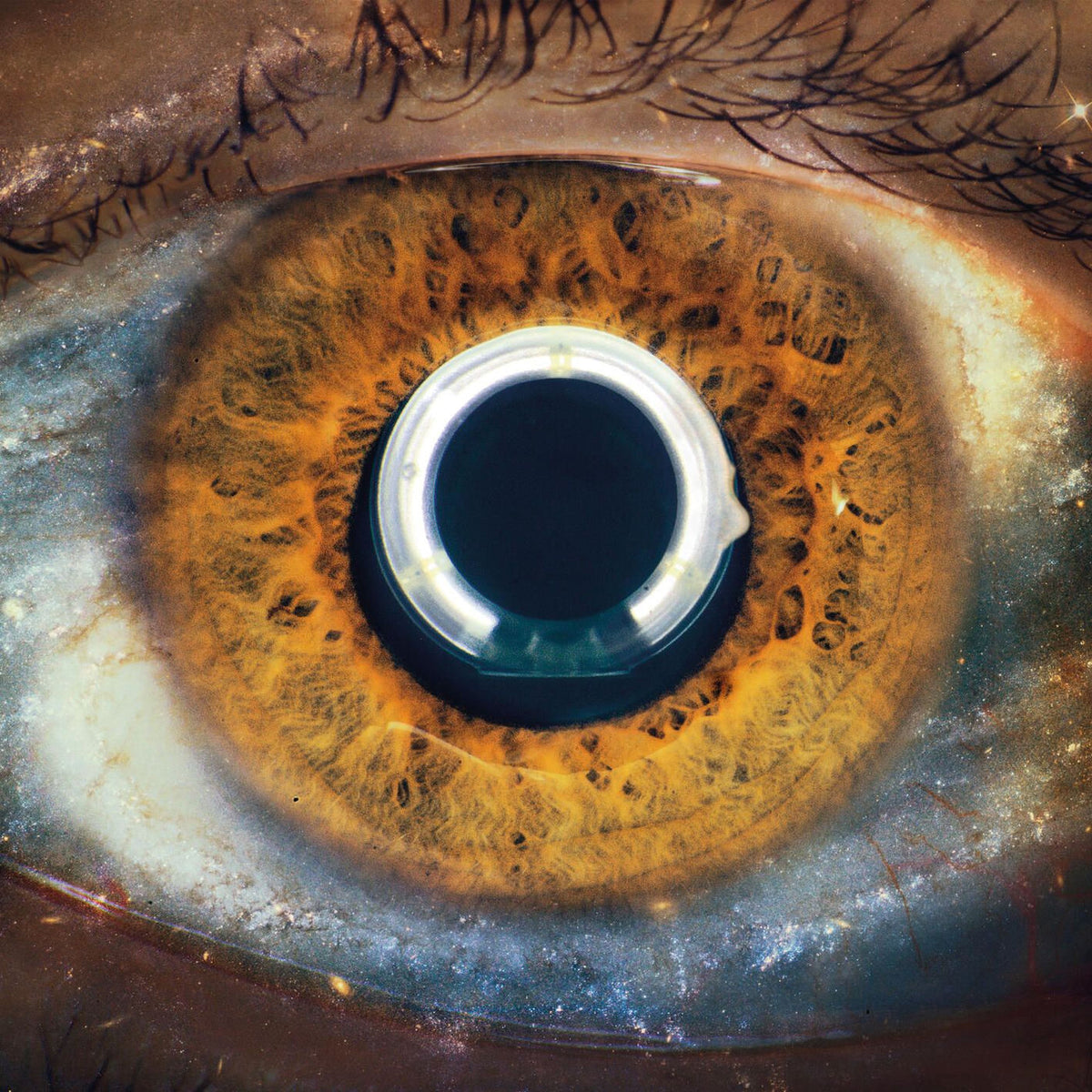 I Cani – Aurora vinyl record cover