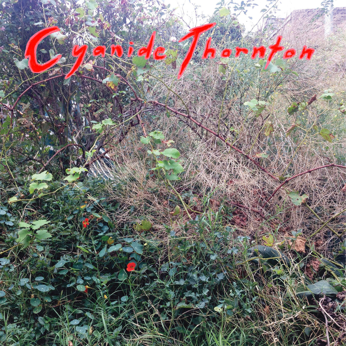 Cyanide Thornton – Cyanide Thornton (LP) vinyl record cover