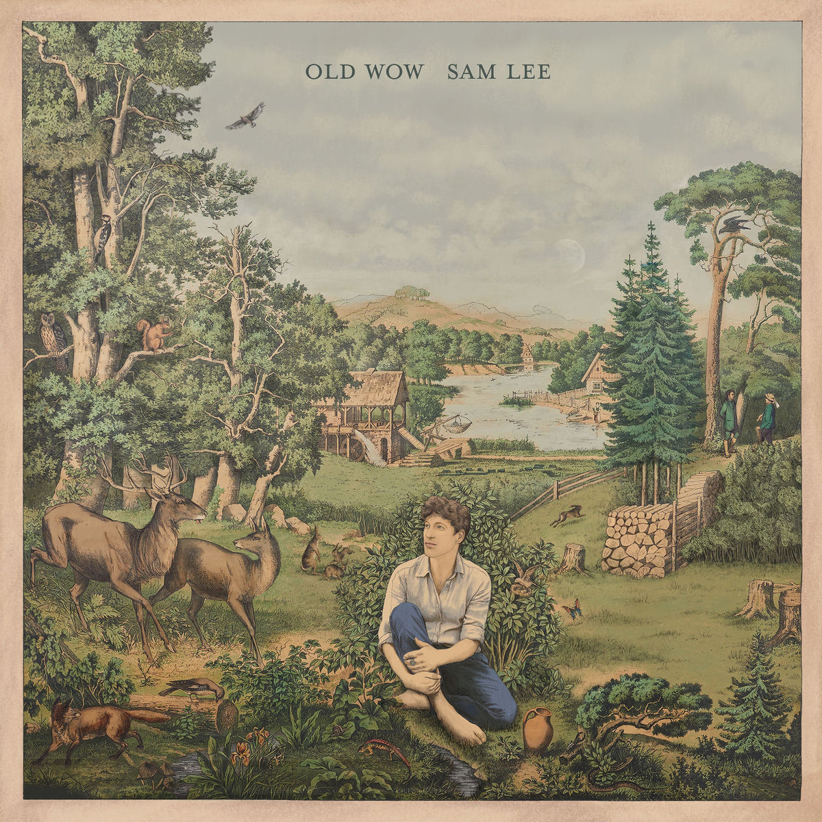 Sam Lee – Old Wow vinyl record cover
