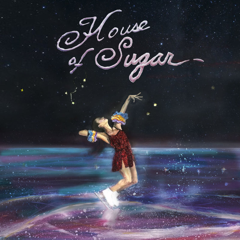 (Sandy) Alex G – House Of Sugar vinyl record cover