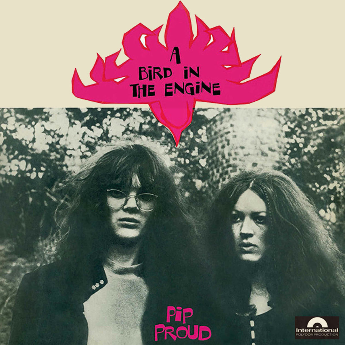 Pip Proud – A Bird in the Engine vinyl cover