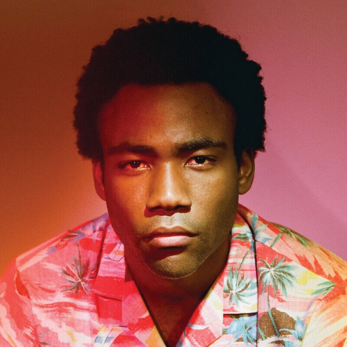 Childish Gambino – Because The Internet vinyl record cover