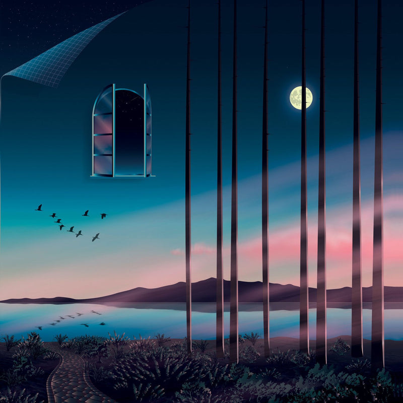 Psychemagik – I Feel How This Night Should Look vinyl record cover