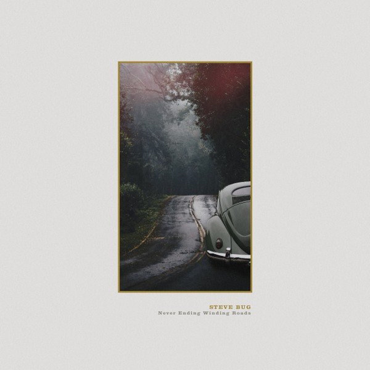 Steve Bug – Never Ending Winding Roads vinyl cover