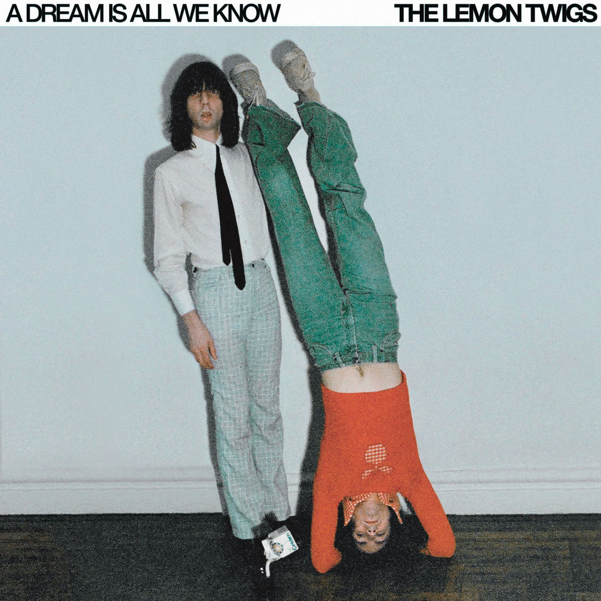 The Lemon Twigs – A Dream Is All We Know vinyl cover
