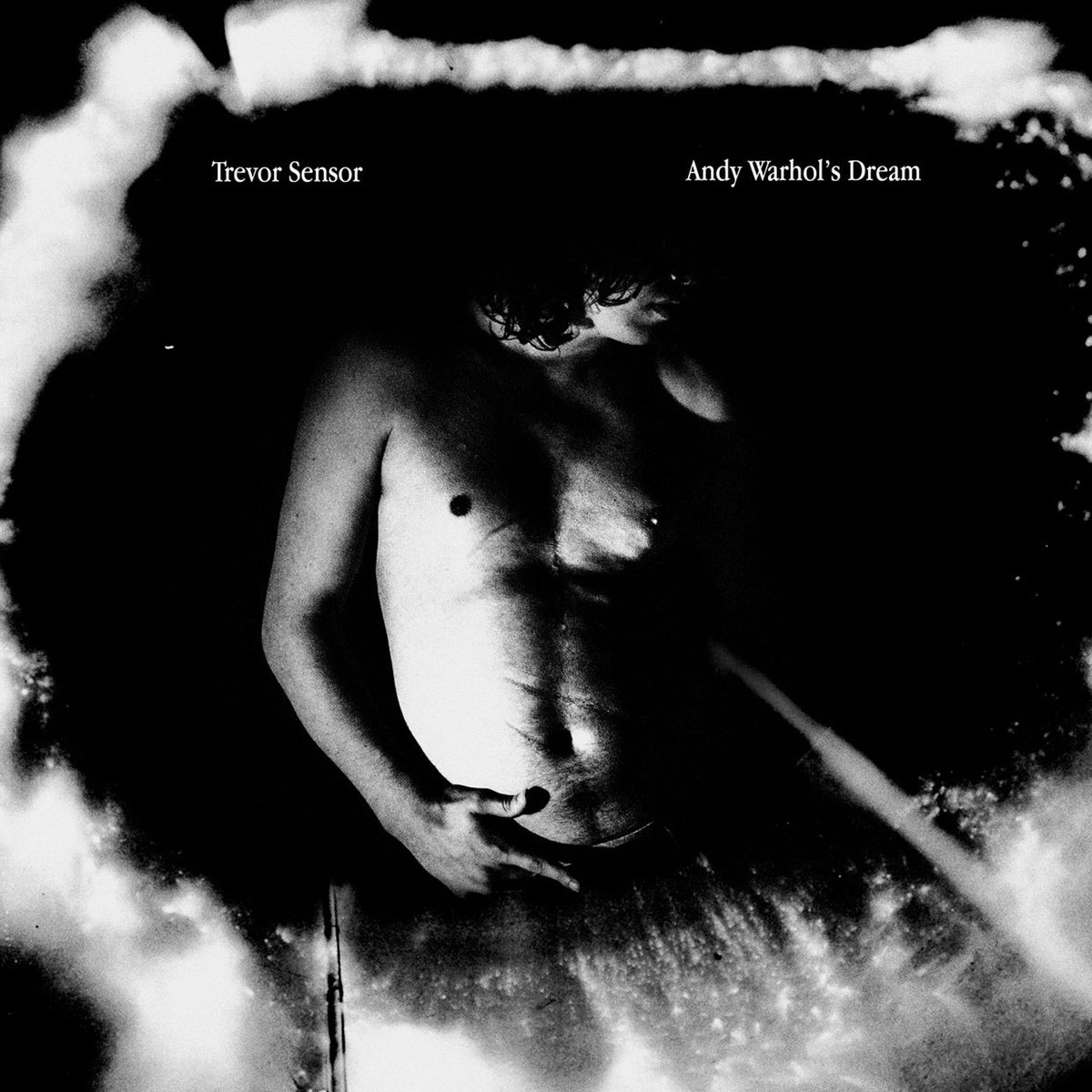 Trevor Sensor – Andy Warhol's Dream vinyl cover