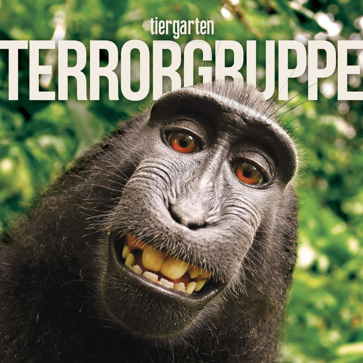 Terrorgruppe – Tiergarten (GER) vinyl record cover