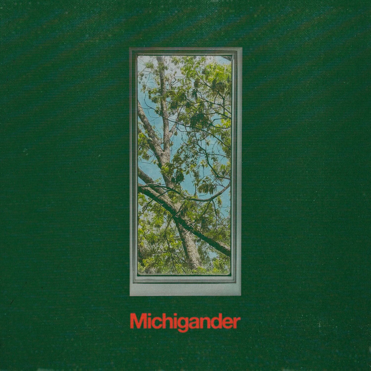 Michigander – Michigander (Green Marble Vinyl) (Indies) vinyl record cover
