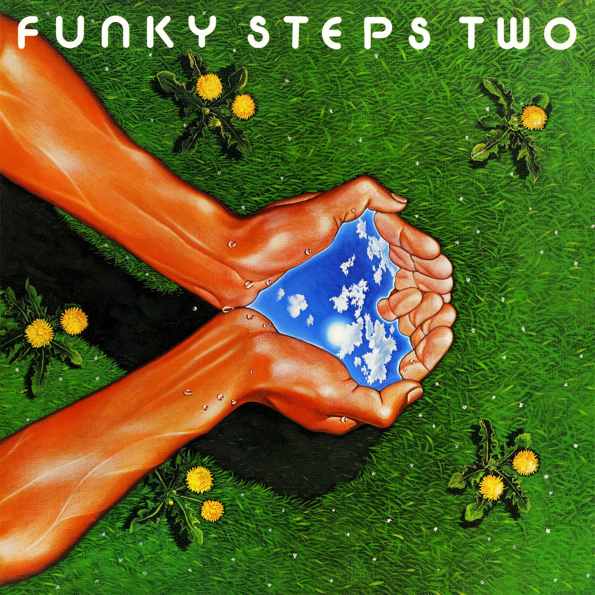 Tranzam – Funky Steps vinyl record cover