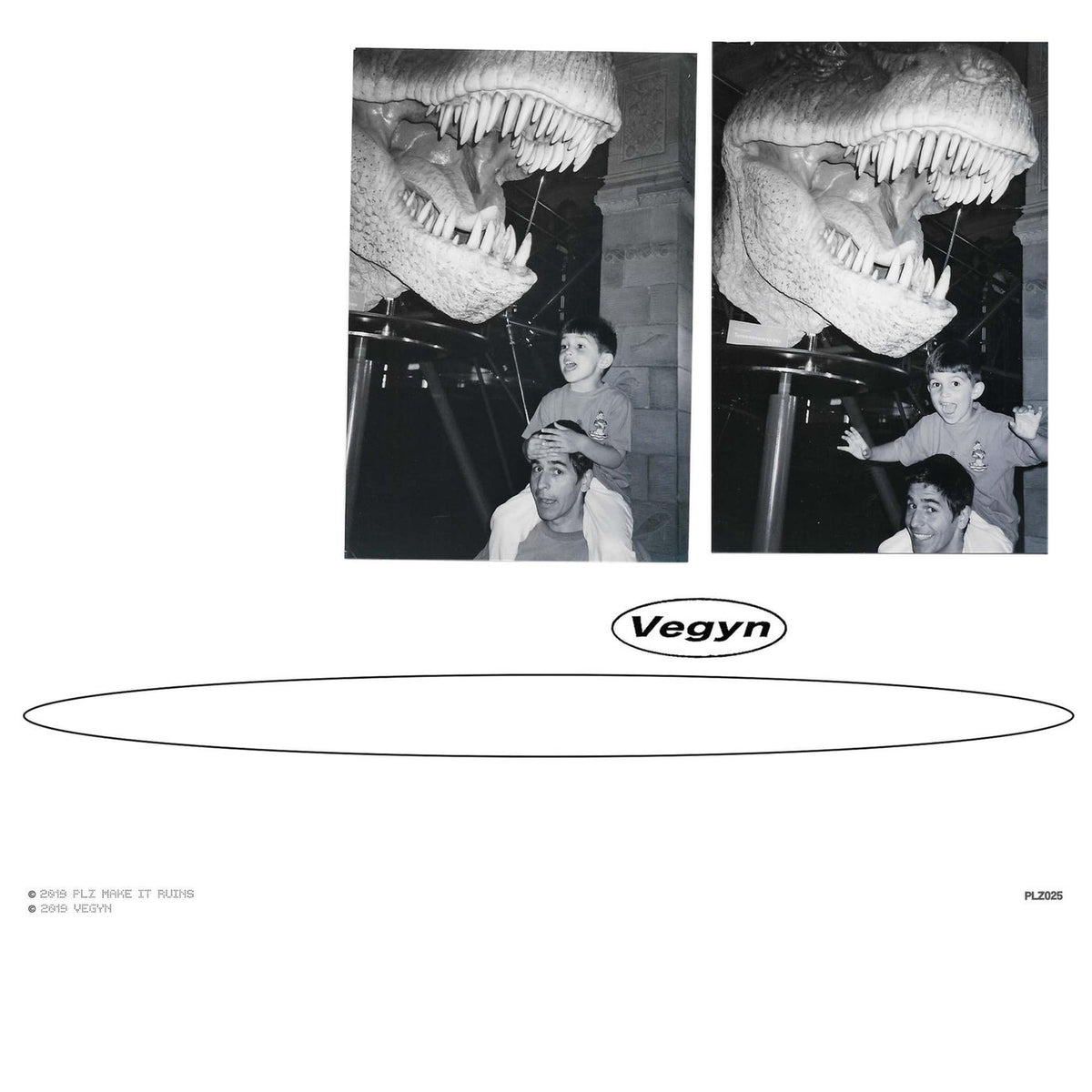 Vegyn – Only Diamonds Cut Diamonds vinyl record cover