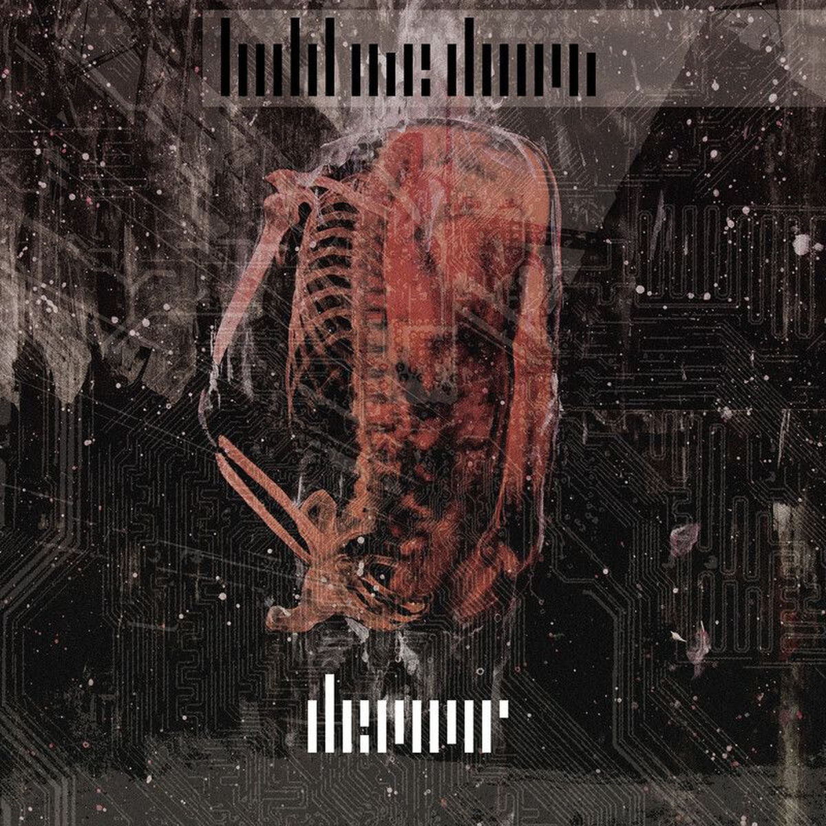 Hold Me Down – Devour vinyl record cover