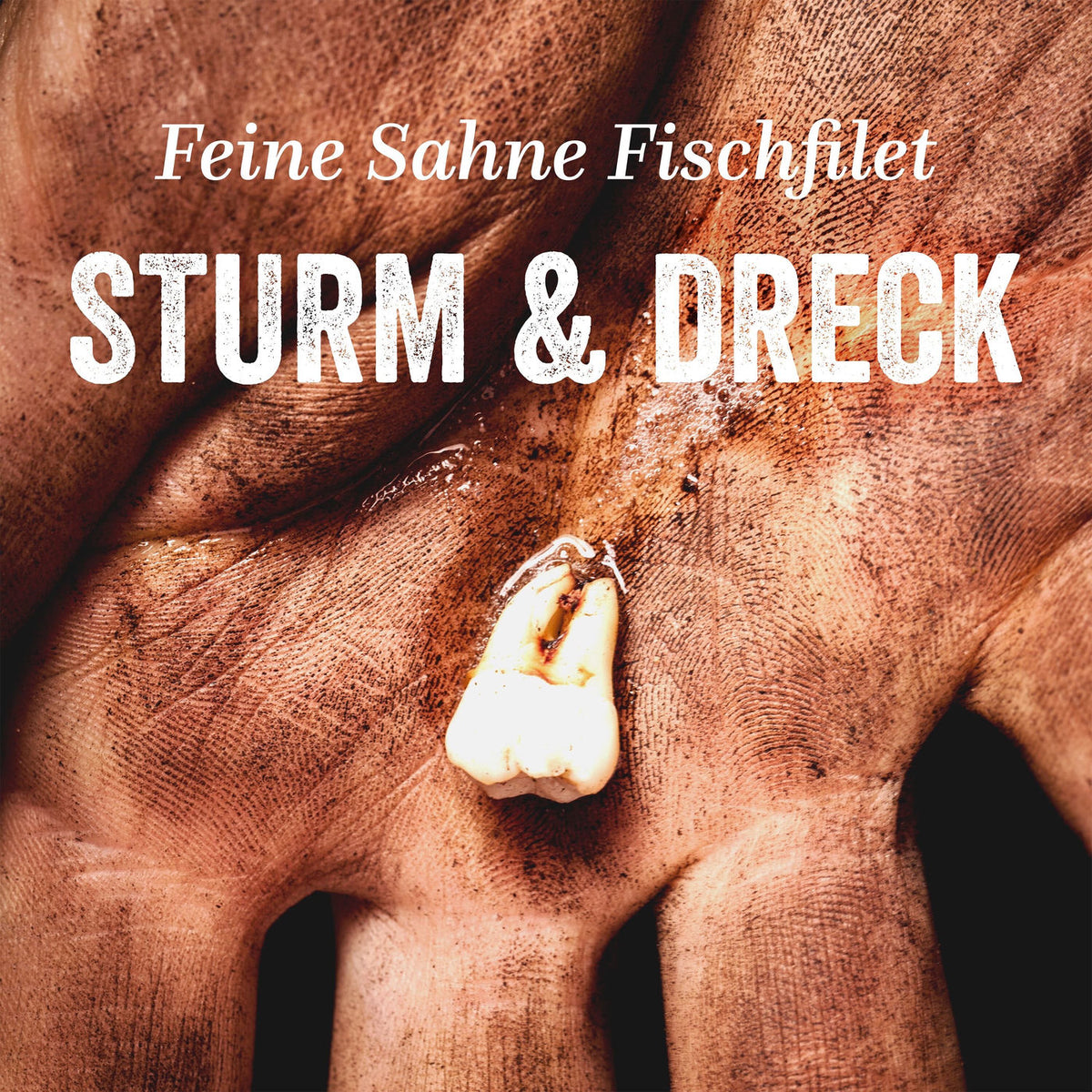 Feine Sahne Fischfilet – Sturm & Dreck -Download- vinyl record cover