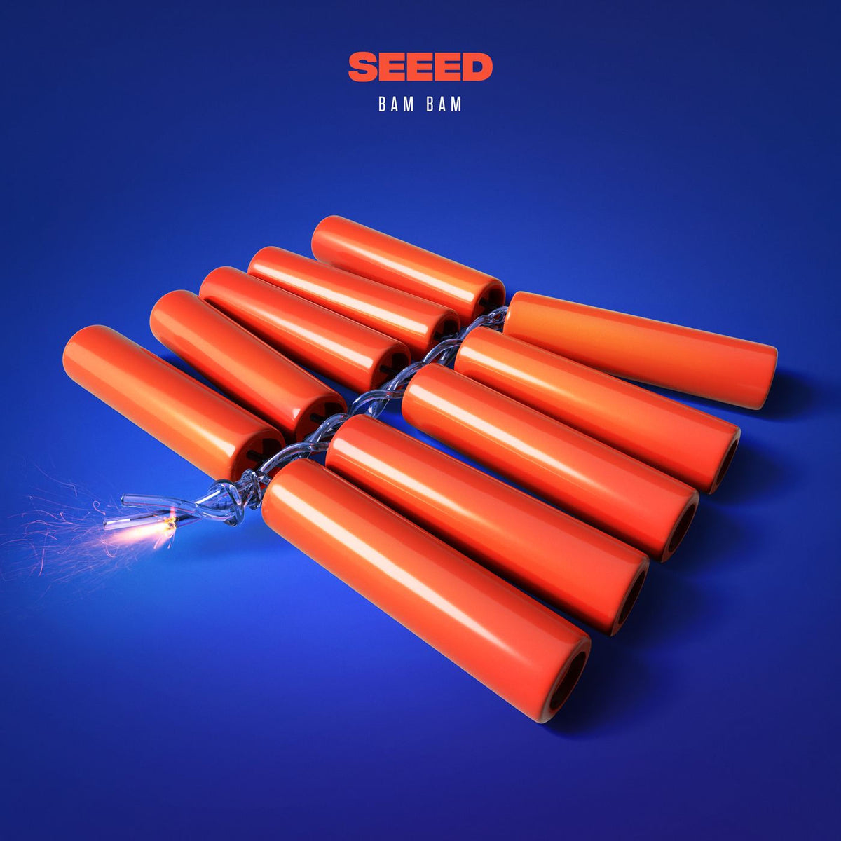 Seeed – Bam Bam vinyl record cover