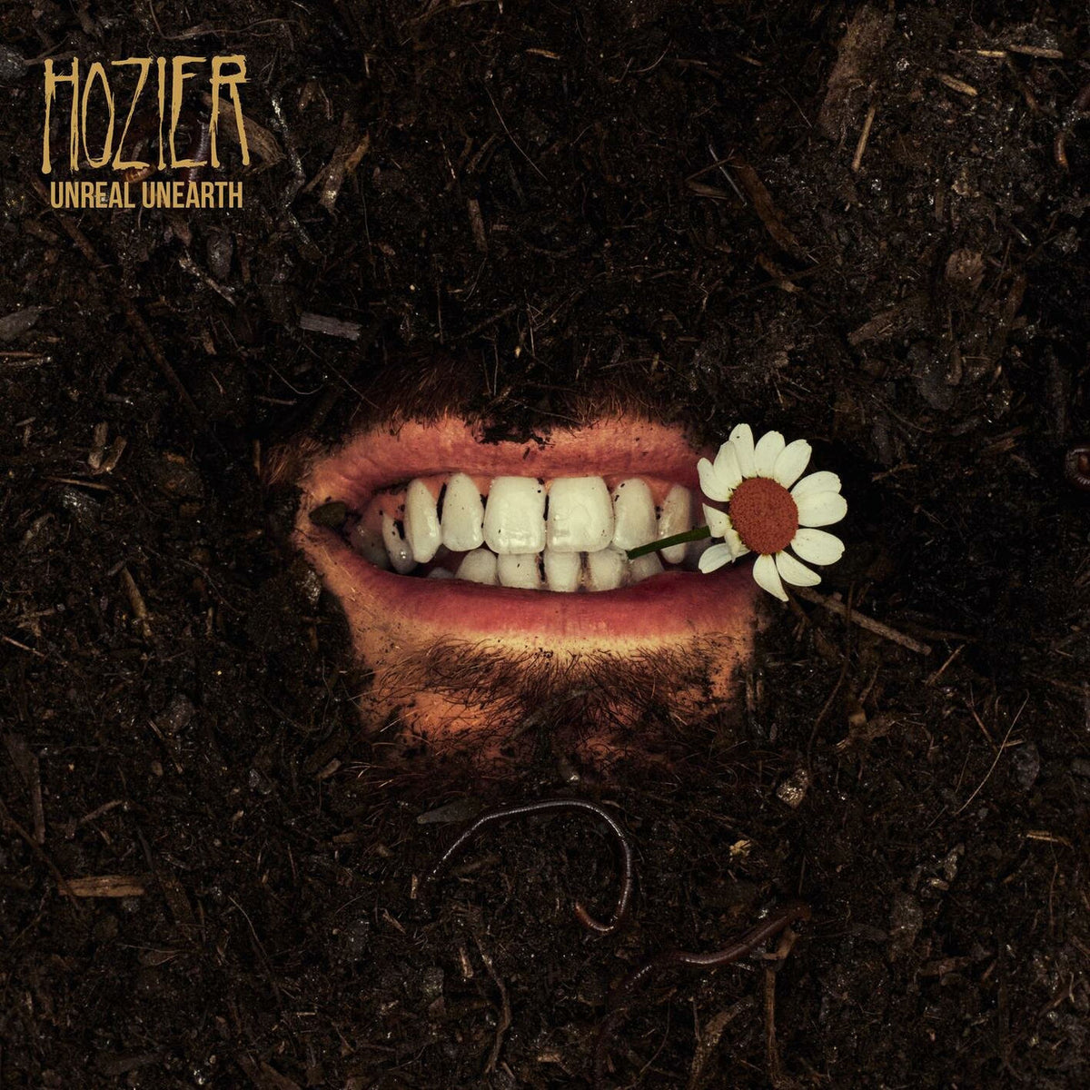 Hozier – Unreal Unearth (2LP) vinyl record cover