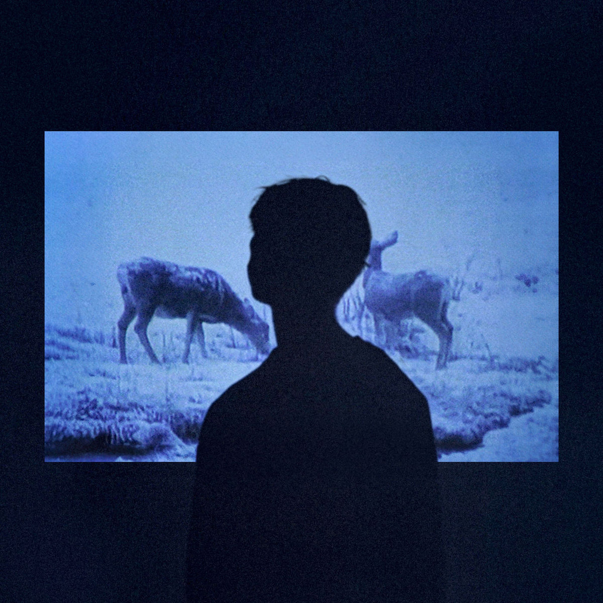 Jumo – memory — record image 1
