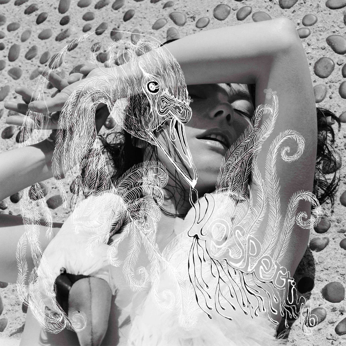 Bjork – Vespertine [2LP] (JAPANESE IMPORT) vinyl record cover