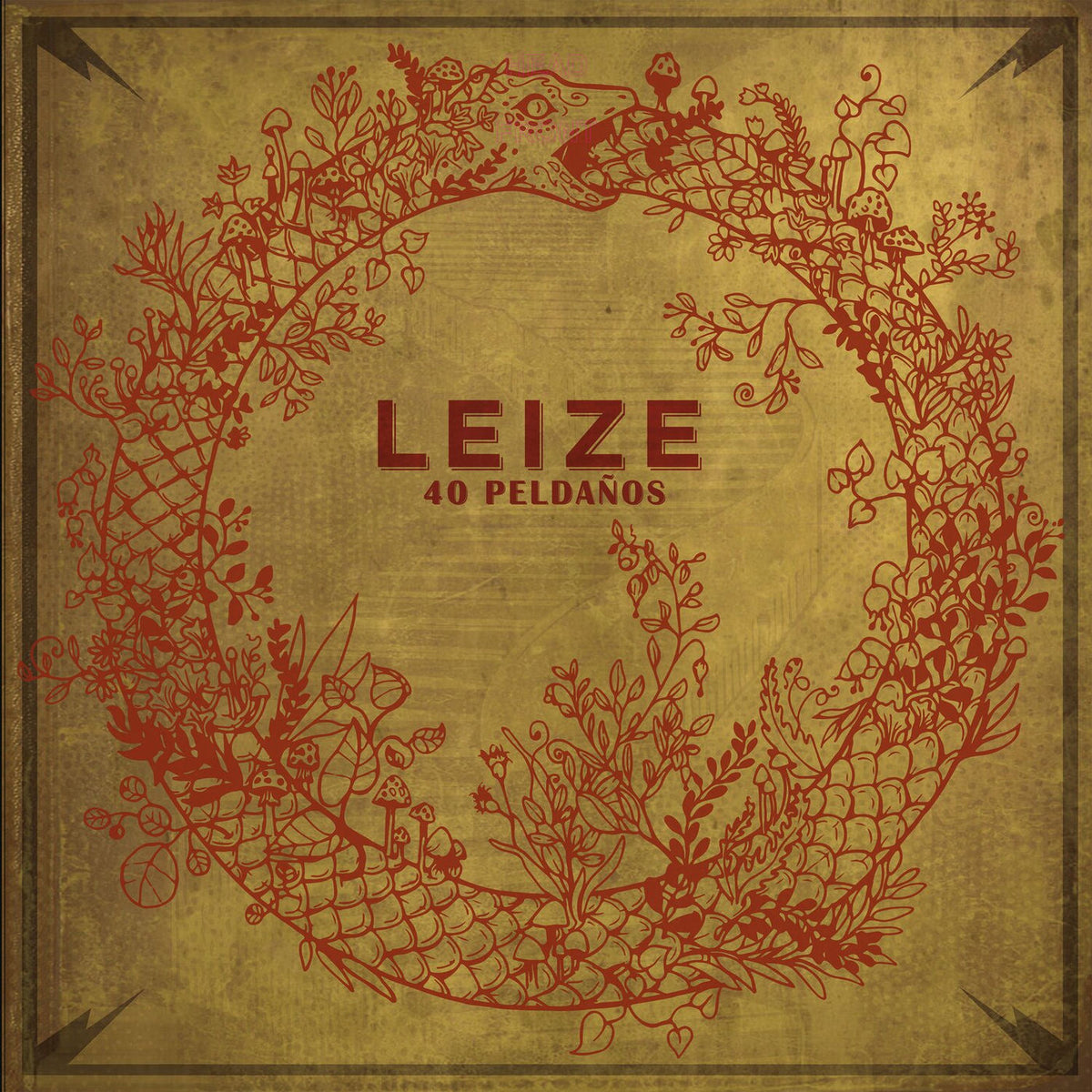 Leize – 40 Peldanos vinyl record cover
