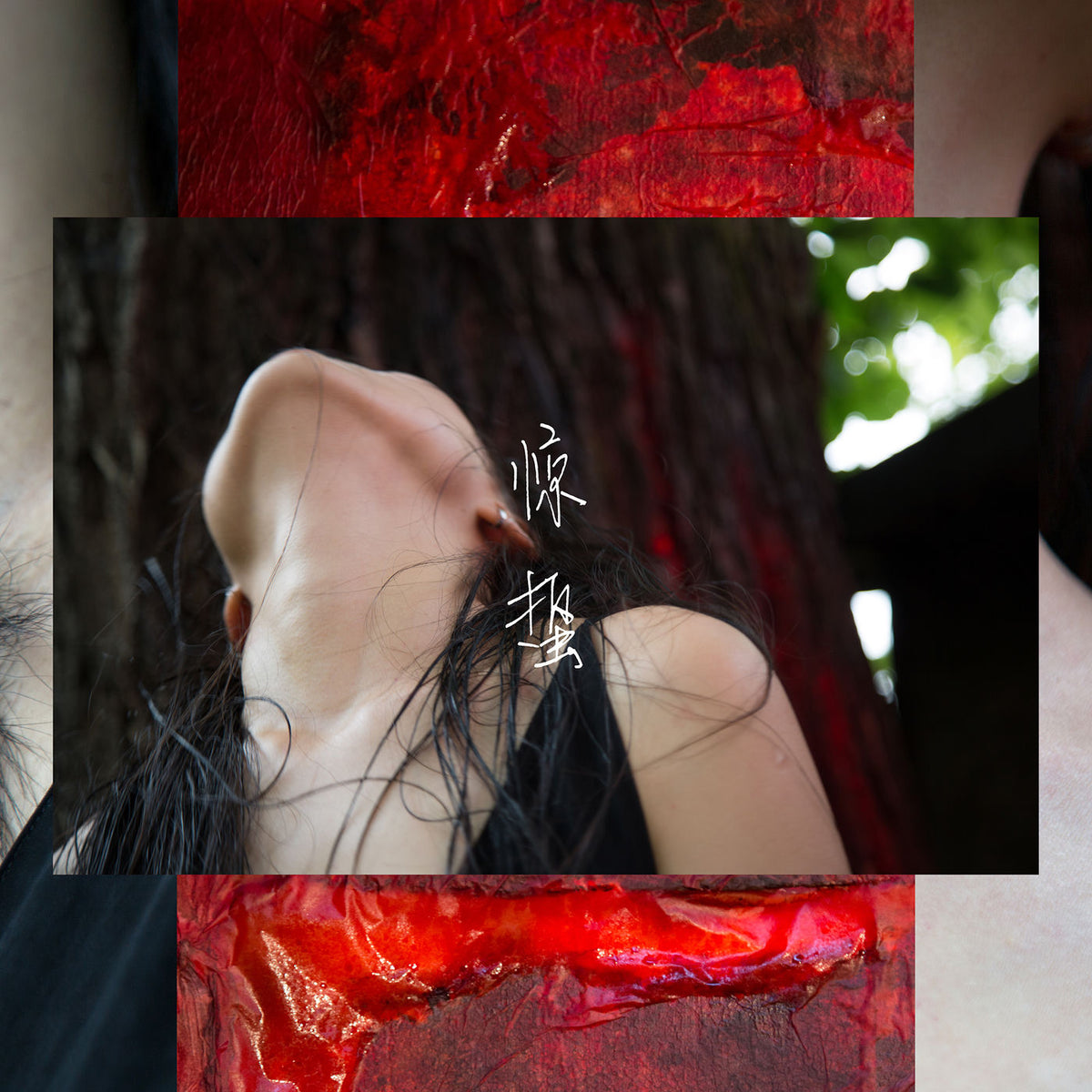 Pan Daijing – Lack vinyl cover