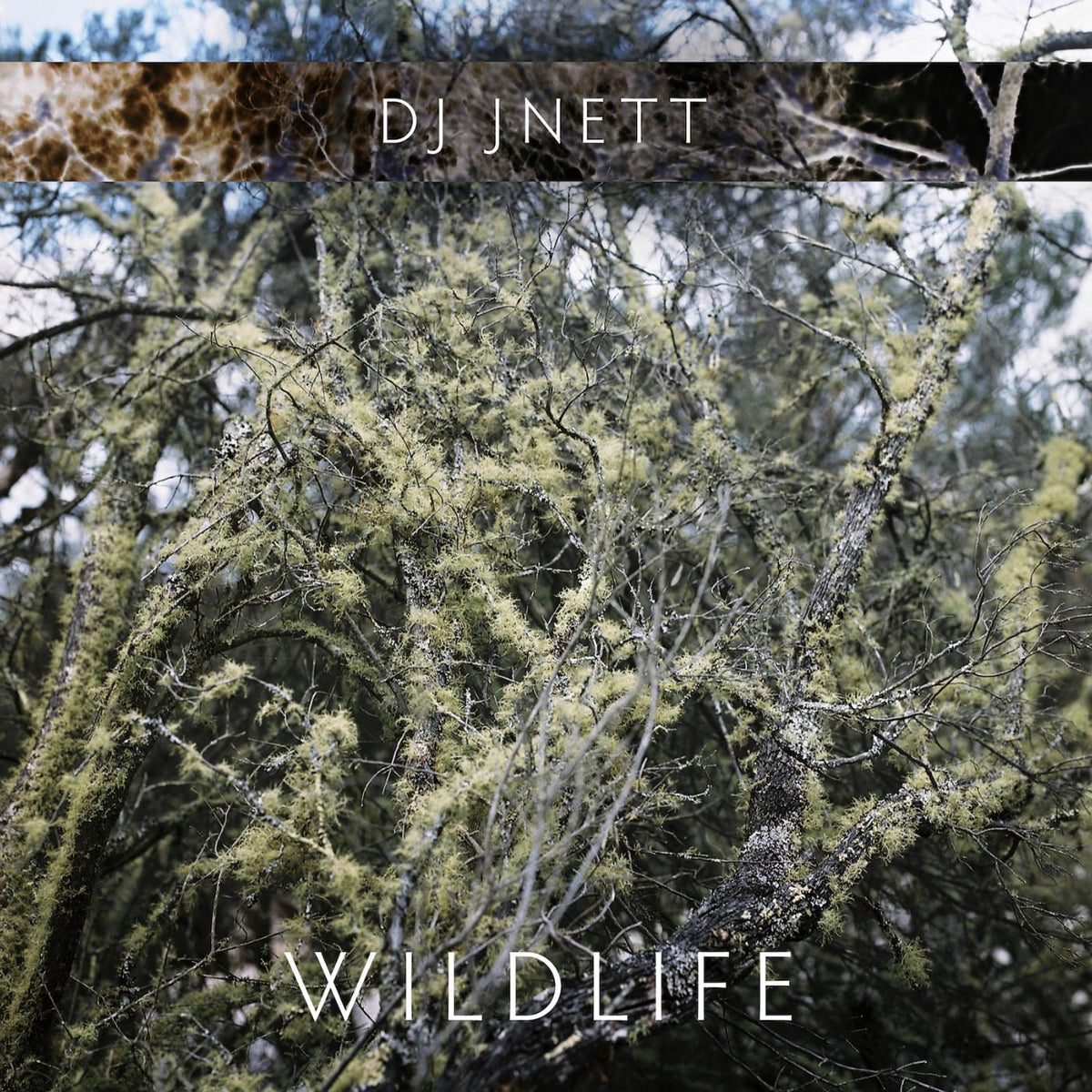 DJ Jnett – Wildlife vinyl cover