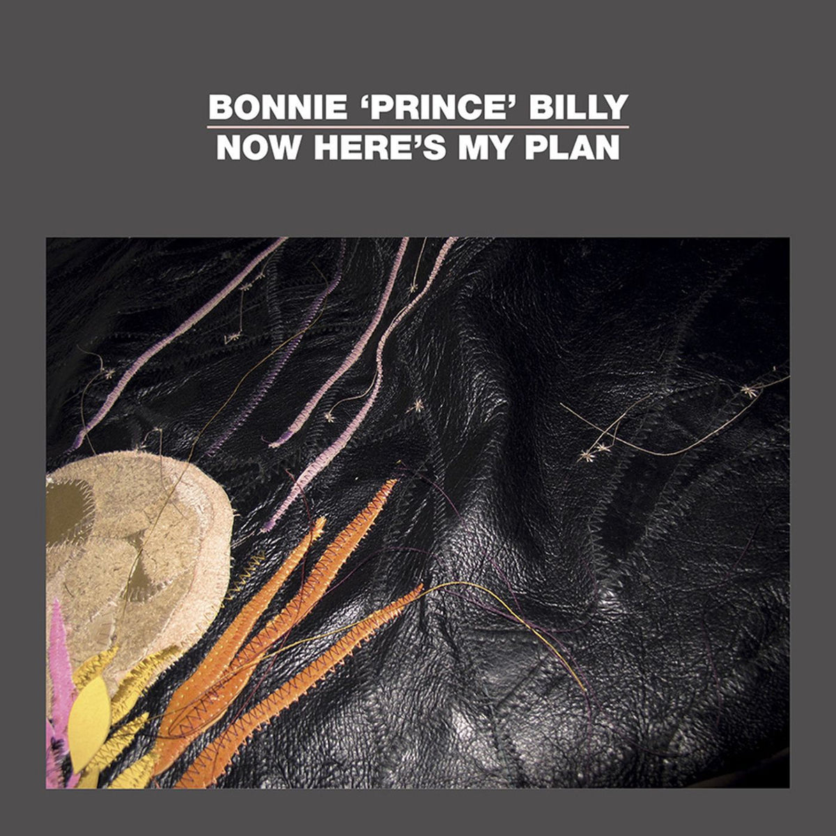Bonnie 'Prince' Billy – Now Here's My Plan vinyl cover