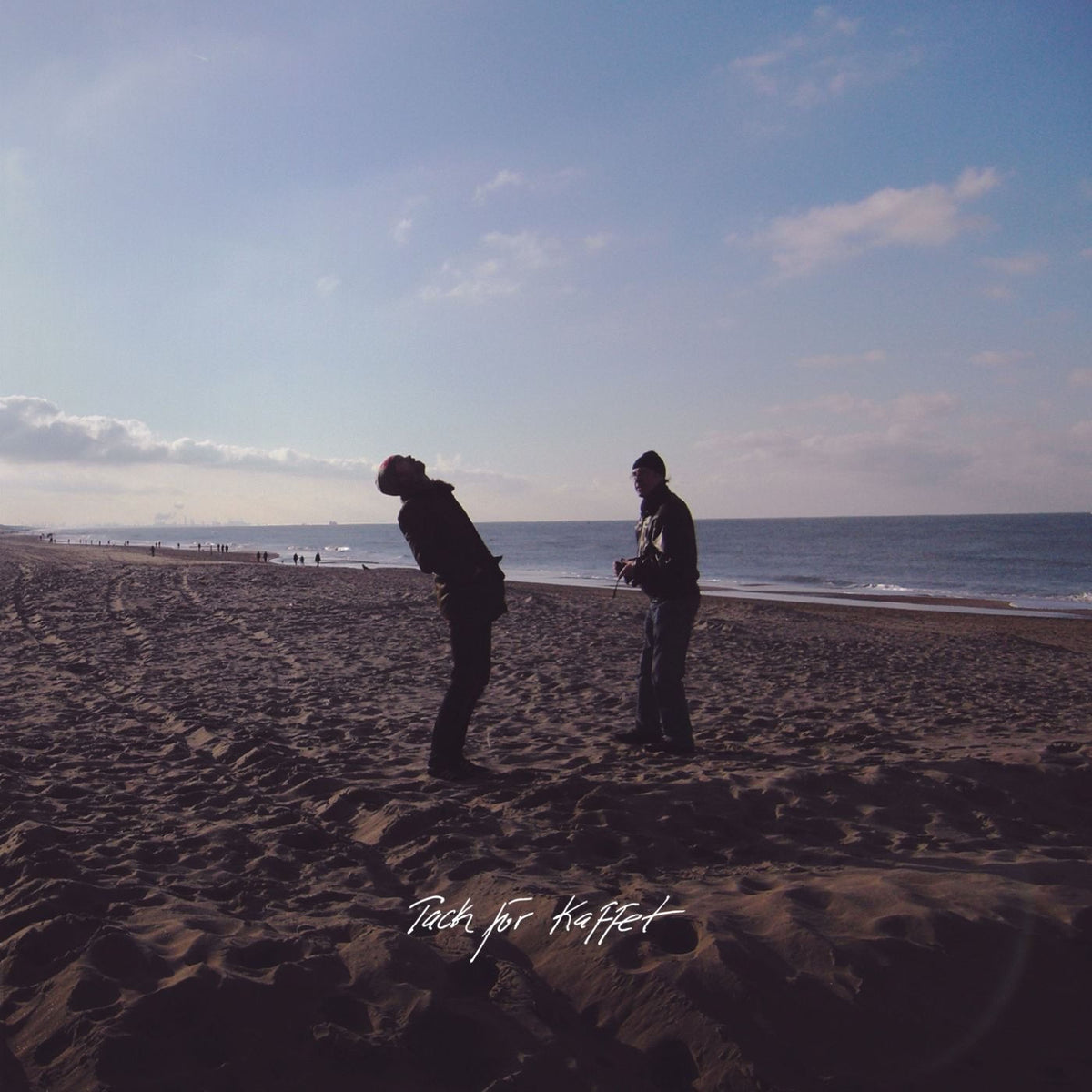 Träd Gräs Och Stenar – Tack för Kaffet (So Long) vinyl cover