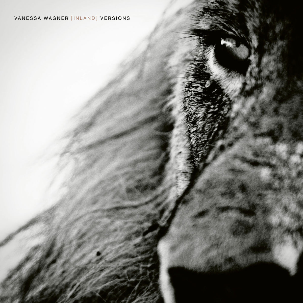 Vanessa Wagner – Inland Versions vinyl cover