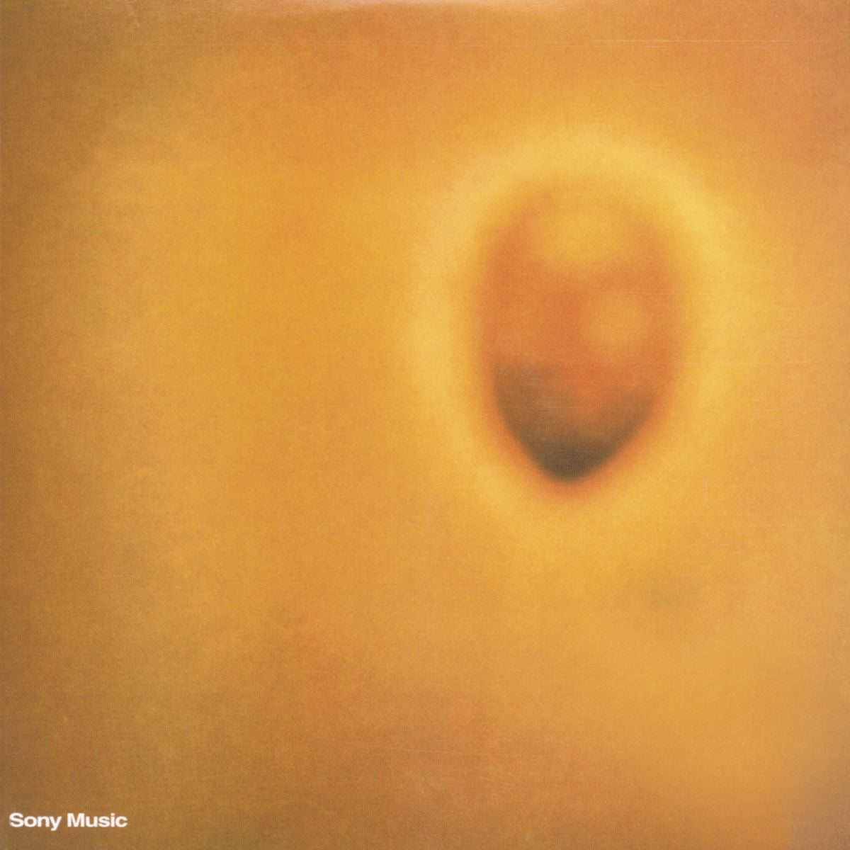 Invisible – Durazno Sangrando (ARG) vinyl record cover