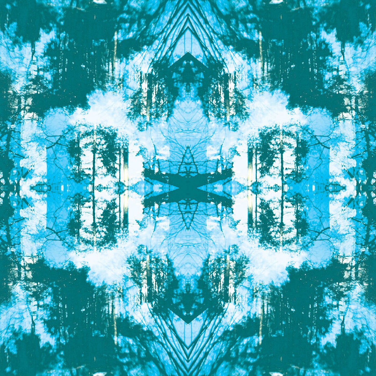 Tusks – Dissolve (Limited Edition) vinyl record cover