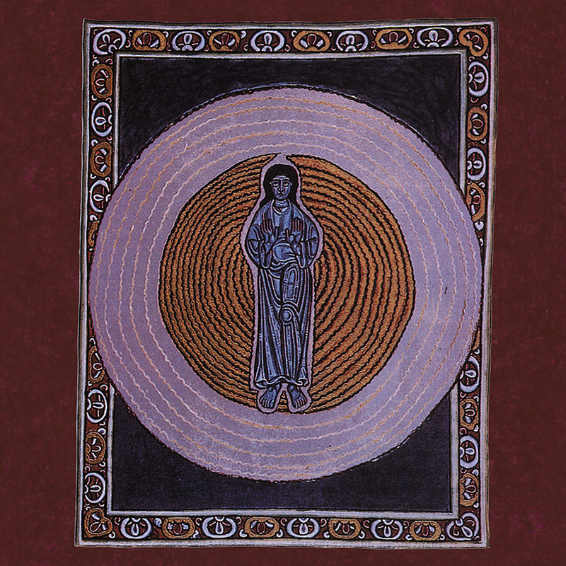 Ambulance Son – Euphemystic vinyl record cover