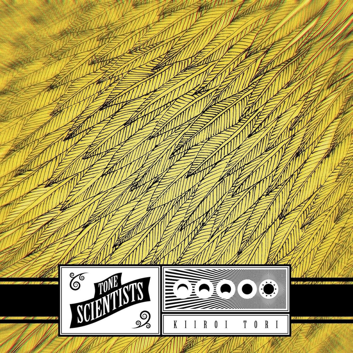 Tone Scientists – Kiiroi Tori vinyl cover