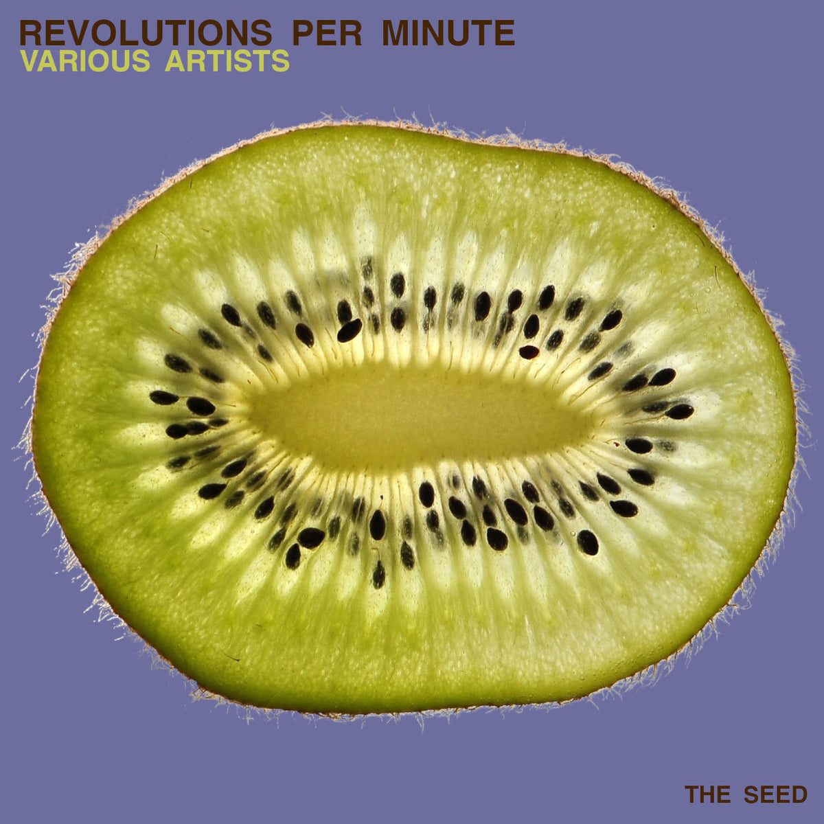 Various Artists – Revolutions Per Minute (THE ART RECORD) vinyl record cover